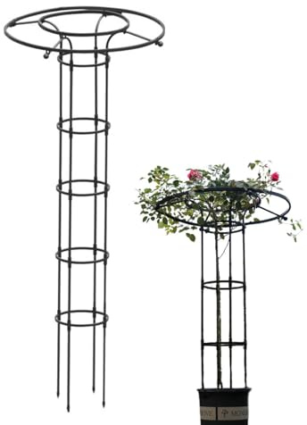 Sucritude Blauregen Schirm Rankhilfe, Garten Rankhilfe Aus Metall, Rankhilfe Für Kletterpflanzen Zimmer, Rosen Kletterhilfe Wetterfest Garten Rankgitter Tomatenkäfig Pflanzenstütze Obelisk Für