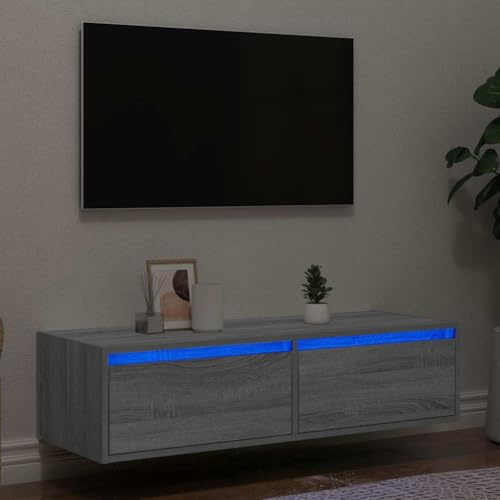 Qnhdfrt Meuble TV avec éclairage LED - Gris Sonoma - 100 x 35,5 x 25 cm - Buffet bas pour salon