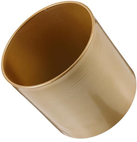 DOITOOL Eisenblume Pflanzer Kreative Runde Kaktus- Topf- Sukkulenten- Pflanzentöpfe Desktop Bonsai Töpfe Behälter Goldene Dekoration （ ）