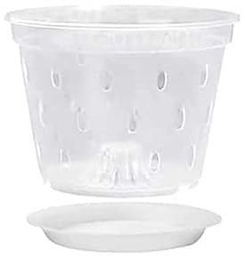 Macetas de plástico transparente de 5.5 pulgadas, macetas de orquídeas con agujeros de drenaje y bandejas para interiores y exteriores, balcón, oficina, escritorio, 1 unidad