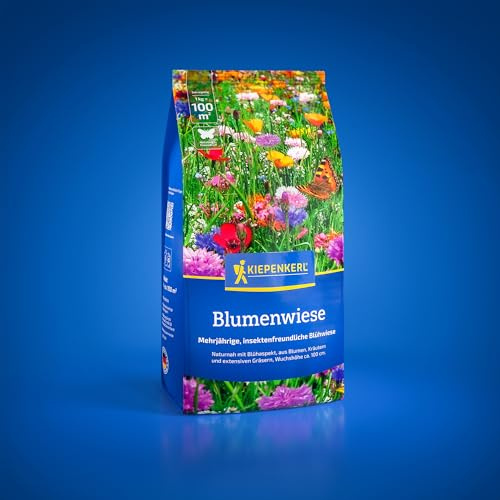 Kiepenkerl Blumenwiese 1085312, Kräutersaat | Pflegeleichte und mehrjährige, ca. 150 cm