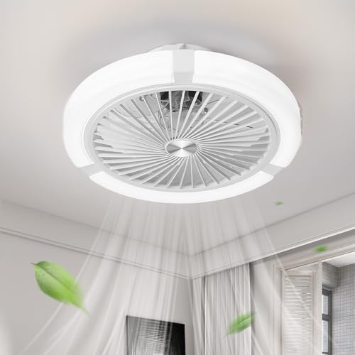 LOKUNM Ventilatore da Soffitto con Luce Memoria Luce Lampadario Ventilatore da Soffitto Timer Ventilatore da Soffitto con Luce e Telecomando Adatto per Soggiorno, Cucina, Camera da Letto