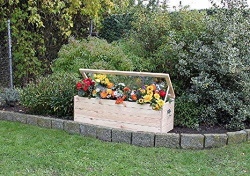 Beauty.Scouts Outdoor Dino Collection Frühbeet Nele, Kiefer, Natur, 118,5 x 40 x 42 cm, mit Boden und Folie, Blumenfrühbeet, Garten, Anzuchtbeet, Gartenbeet, Hochbeet