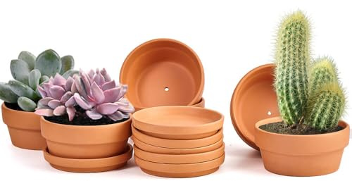 5 Inch Classic Terracotta Shallow Pot with Drainage Holes and Saucer | 6 Pcs Small Clay Planter Pots for Succulent, Shallow Terracotta Bonsai Pots for Cactus and Other Indoor Outdoor Plants