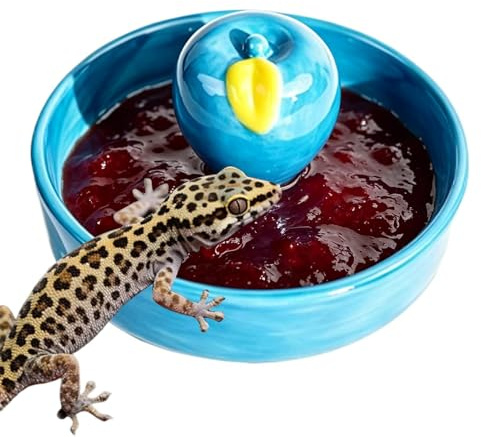 Generisch Reptilien-Futterschale Kippsichere, Stabile Fressschale | Aquarien-Becken für Wasserschildkröten Für Echsen, Schildkröten, Chamäleons, Einsiedlerkrebse, Krabben, Schlangen, Frösche,