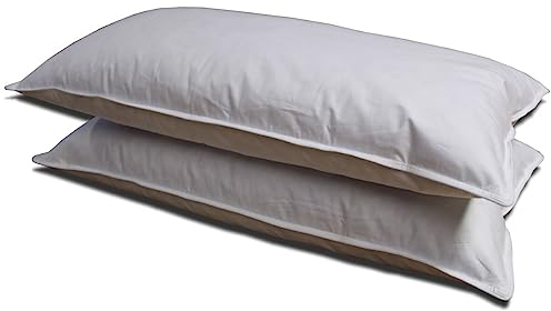 Meivita 2X Kopfkissen mit 100% weißen Gänsefedern Klasse 1 – Federkissen-Set prall gefüllt in 40x80 cm Made in Germany