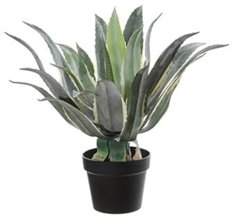 artplants.de Künstliche Sukkulente Agave Americana KYANO, Dekotopf, grün-Creme, 55cm - Kunst Agave