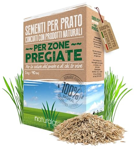 B4GREEN Semi Prato Inglese Professionale (40m²) – Sementi per Prato Ornamentale a Tessitura Fine per Giardino di Pregio – Tappeto Erboso Fitto, Elegante e Verde Brillante – Copertura fino a 40m² 1kg