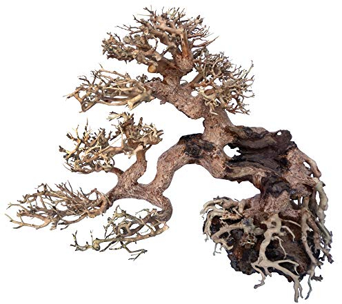 Amtra - Legno Oriental Wind 7, fatto a mano, per acquario, 25X10X20 CM