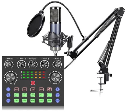 Dcaknri Set di schede audio per microfono a condensatore, incluso tipo C in tempo reale, professionale, per streaming e podcasting, utilizzare microfono USB C
