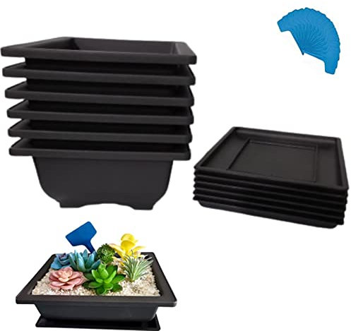 XIAONAN 6PCS 8.8in Rectangle Plant Flower Pot with Trays and 15Pcs Plant Labels,Plastic Bonsai Training Pots Indoor/Outdoor Small Plastic Plants Growing Pot Durable Garden Flower Plant Container