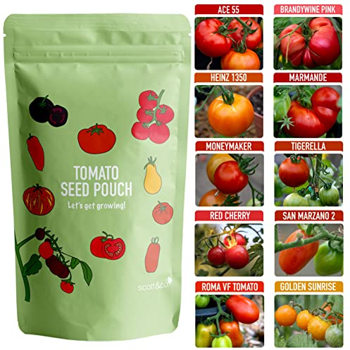 Scott&Co. Tomato Seed Starter Kit, 10 Varieties to Grow Your Own. Indoor and Outdoor Planting. Moneymaker, Golden Queen, Red Cherry, Zebra and More Tomato Seeds, Mother's Day Gifts for Women and Men