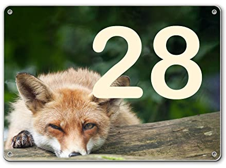 banjado® Hausnummernschild personalisierbar Motiv Fuchs Relax - Hausschild personalisiert Draußen mit Straßennamen möglich - Hausnummernschild Edelstahl versch. Motive - inkl. Montagematerial