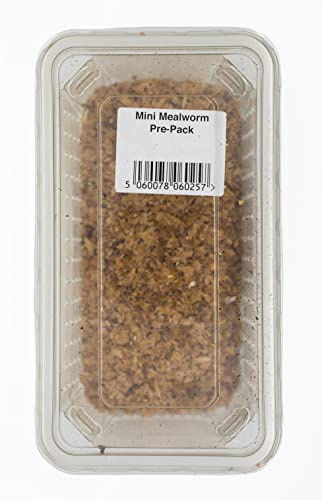Livefoods4u Live Mini Mealworms 40g Tub 10-15mm | Reptile & Bird Food