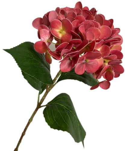 forestmistry 5pcs 3D Print Lifelike Hortensia Branch Realistic Artificial Big Latex Hydrangea Flower (red)