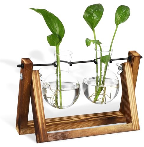 Happyyami Moderne Pflanzenvermehrungsstation Mit Holzständer Glaskugeln Für Wasserpflanzen Als Tischdeko Für Büro Oder Balkon Stilvolles Terrarium Für Pflanzenliebhaber