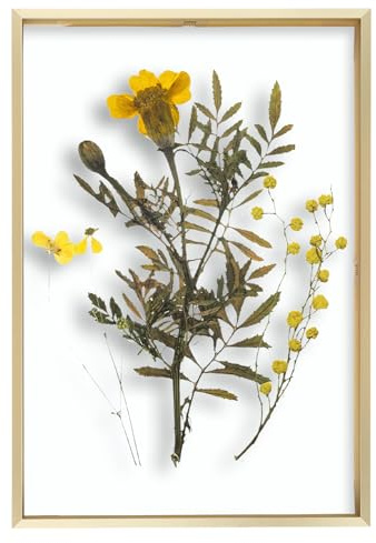 Frametory, Floating Picture Frame 12x18 - Gold Aluminum Metal Photo Frame - Real Glass of Front - for Wall Mount Displays