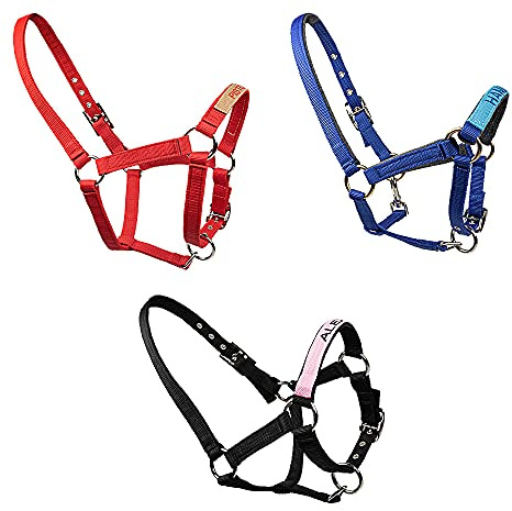 Pferdehalfter mit Namenstickerei am Nasenband - Personalisiertes Halfter mit Namen - Führleine - Führleine - Führleine - Halfter mit Gravur - personalisierte Pferdetackle für dein Pferd oder Pony