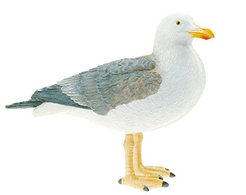 Quay Trader Seabird Resin Ornament/Decoration - Seaside/Nautical Decor - Seagull (Standing)
