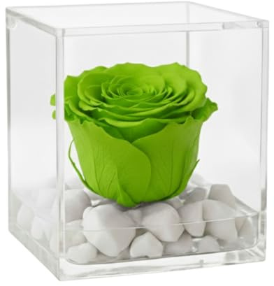 PREMIUM ROSE - Cubo Rosa Stabilizzata Verde 8 cm con Marmo di Carrara - Rosa Eterna Stabilizzata Made in Italy Idea per Auguri di Nuovi Inizi e Decorazioni - Verde A 1089