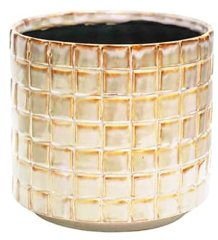 Ivyline Tarah Textured Glaze Planter in Ivory - Durable and Stylish - Decorative Contemporary Indoor Ceramic Houseplant Flower Pot - H11cm x D10cm