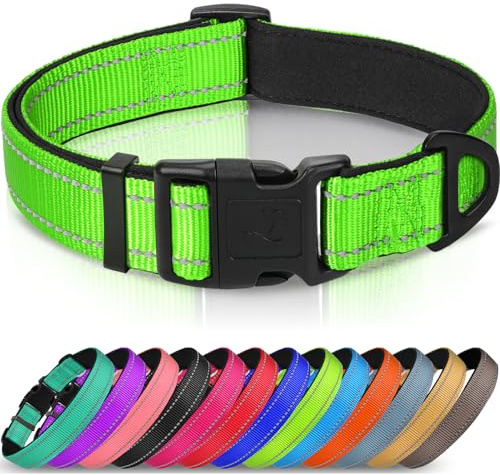 Joytale Collare Cane Riflettente,Imbottito e Morbido,Regolabile Nylon Collari per Cani Piccoli,Verde,22-30cm
