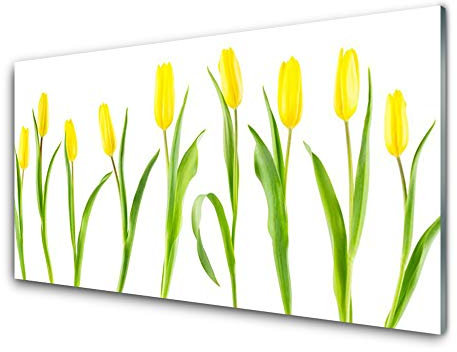 Tulup Acrylic Print 100x50cm Wall Art - Wall Picture on Plastic Acryl Glass - Tulips Floral