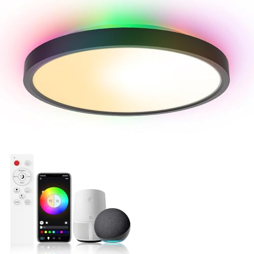 Birnetek® Lampara Techo LED 30W, Plafon RGB Redondo 2700K-6500K, Regulable, Compatible con Alexa, Google Home, Control APP, Mando a Distancia, para Dormitorio, Salon, Cocina,Negro