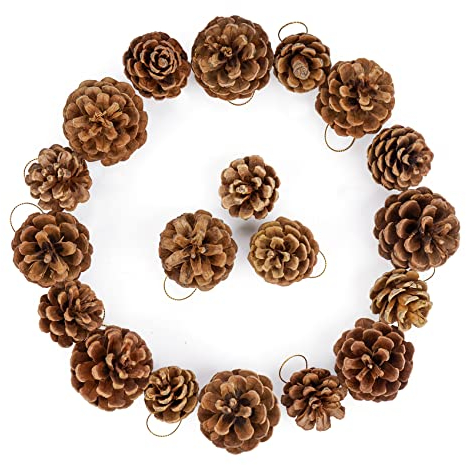 Pigne Piccole Decorative,ilauke 36 Pine Naturali da 3-6 cm,pino naturale Natale,decorazione da appendere per albero di Natale,mela di pino Natale,patine decorative per palline di Natale,3 misure