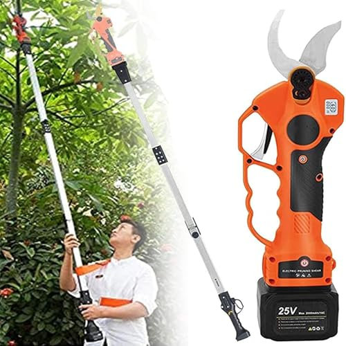 40mm Cesoie Potatura Elettriche Professionali Con 2 21V/2000 mAh Batteria - Forbici a batteria da potatura per potatura per Giardinaggio Albero da Frutta Delle Viti,WithRod