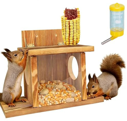 Divertente mangiatoia per scoiattoli, divertente decorazione da giardino, scatola per nidificazione con mangiatoia per acqua, per nocciole, scoiattoli, giardino, cortile, balcone, albero, picnic