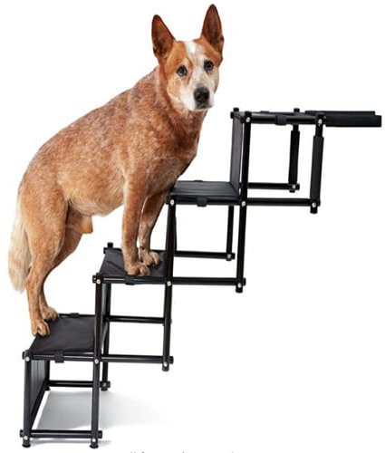 Willonin Rampa para Perros Plegable, Escalera de Perro para Ayudar en la Entrada y Salida del Coche.hasta 75 kg, escaleras Plegables para Perros Apto para Todos los vehículos