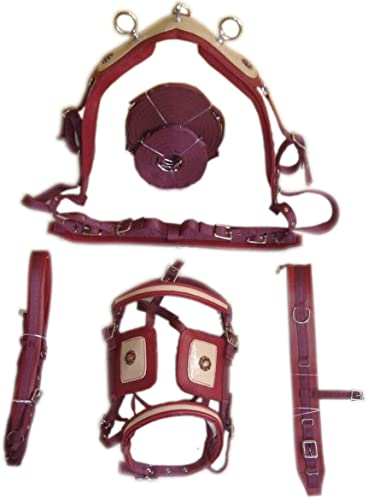 SHOWMEN CRAFT Körsbär/beige syntetisk patent nylon häst körselar, med designträns (FULL)