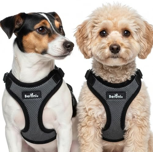 Hundegeschirr kleine Hunde ausbruchsicher, verstellbar & leicht, ohne Über-den-Kopf-Ziehen, Brustgeschirr grau-schwarz für Malteser, Bolonka, Jack Russel Terrier (S/M)