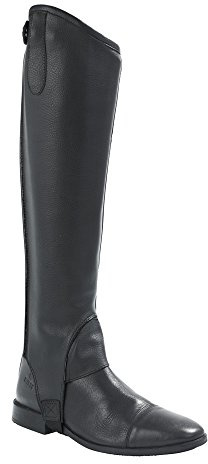 Busse