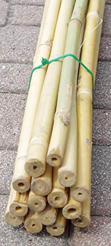 CANNE IN BAMBOO PER SOSTEGNO ORTAGGI E ALTRI USI DA CM 150 (15)