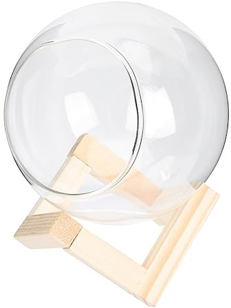 OFFSCH Transparenter Glasblumentopf Nicht Verblassend mit Holzgestell für Sukkulenten und Blumen für Außen Terrassen und Garten Dekoration