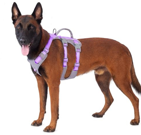 Huntboo Sicherheitsgeschirr Hund Ausbruchsicher, Panikgeschirr für Hunde, Reflektierendes Geschirr Hund mit Griff, Verstellbare Hundegeschirr für kleine, mittelgroße und große Hunde (Lavendel Lila,M)