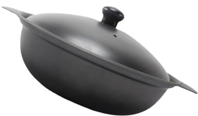 FOMIYES Olla Doméstica de Hierro Fundido de 22 CM Tapa, Cazuela para Arroz Pollo Estofado, Mango Aislamiento Térmico para Seguridad en Cocina Familiar