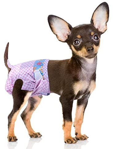 Flying Paws Couches Jetables Chienne Femelle, XS 10 Pièces, Ultra Absorbantes, Anti-fuites Chien, Chaleurs, Post-OP, Tour de Taille 22-44 cm, Super Absorbantes et avec Indicateur, Couche pour Chat