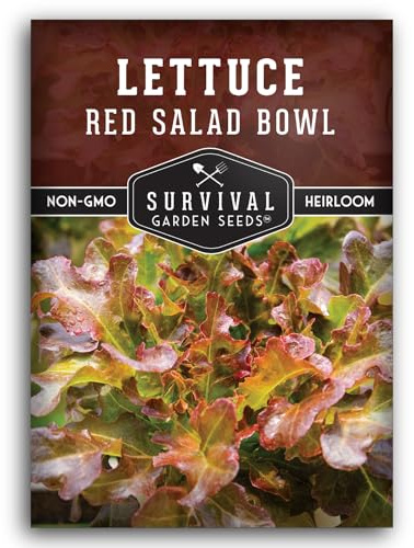 Red Salad Bowl Lettuce Seeds for Planting - Red Leaf Looseleaf Lettuce Seed for Garden Growing, Heat Tolerant High Yield Heirloom Non-GMO Variety - Survival Garden Seeds (1 Pack)