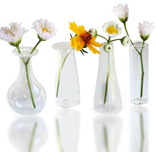 MIUPOO Vaso molto piccolo, mini piccoli vasi di vetro, mini vasi di vetro, per decorazione da tavolo, decorazione da tavolo, per soggiorno, tavolino da caffè, bagno, 5 cm, 4 vasi lisci
