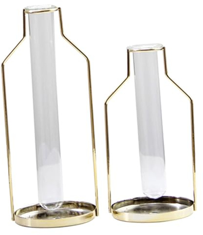 LALAFINA 2pcs Hydroponic Flower Vase Set Large Small Iron Art Tube Planter Glass Home Ornament for Living Room Tabletop Decoration