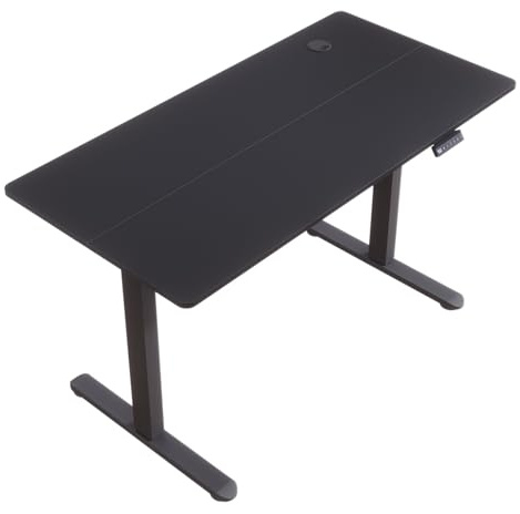 SONNI höjdjusterbart skrivbord elektriskt, 100 x 60 cm, borstlös motor med 3 minnesfunktioner, anti-kollisionssystem och kabelhantering, ståsitsbord för hemmakontor, 60 kg lastkapacitet, svart