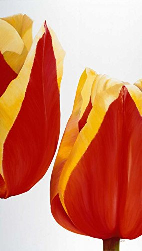Bild auf gerollter Leinwand, Motiv Stay there! Poelstra-Holzhaus Yvonne, vertikal, Kunstdruck, rot, gelb, vertikale Blume, modern, 38 x 21 cm