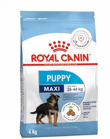 Royal Canin 35230 Maxi Junior 4 kg- Hundefutter