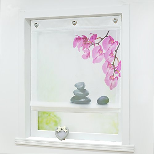 Joyswahl Raffrollo Voile Raffgardinen mit Haken Zoe Ösenraffrollo BxH 120x140cm Weiß 1er Pack