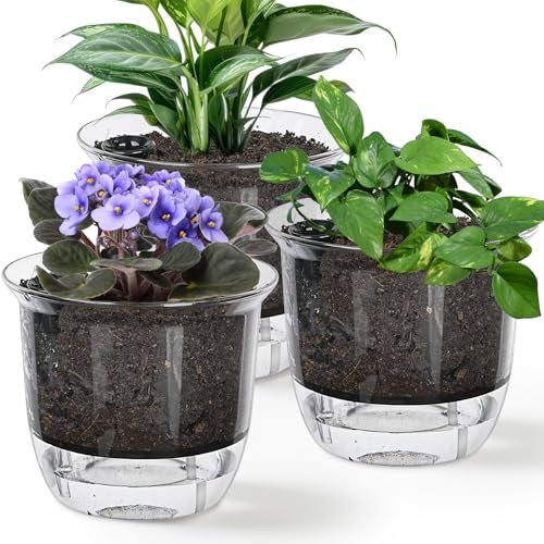 IWTTWY 3 Pack Self Watering Plant Pots, 16cm Plastic Plant Planter with Drainage Maintains, Indoor Flower Seed Nursery Pots for Orchid, Peace Lily, Snake Plant (Clear)