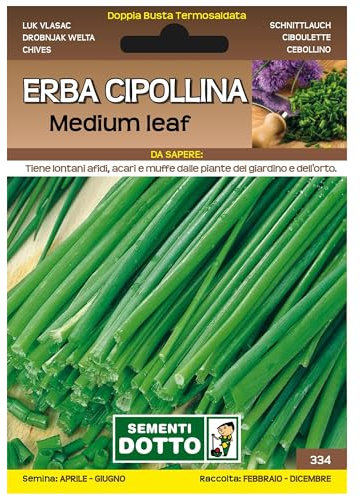Sicignano | Semi Erba Cipollina Medium Leaf, Pianta Aromatica Perenne, Busta Extra - 2 Confezioni da 0.6g, Ideale per Ricette Fresche, Aromatizzare Insalata Salsa Vivande, Pianta da Vaso
