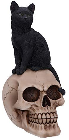 Nemesis Now Familiar Fate - Figura de Gato y Calavera (24,3 cm), diseño de Brujas Negras